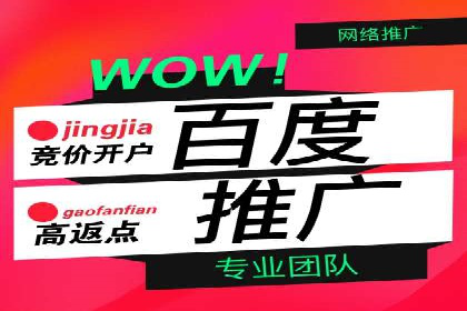 揭秘百度竞价代理：实战案例分析